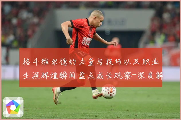 格斗维尔德的力量与技巧以及职业生涯辉煌瞬间盘点成长观察-深度解析