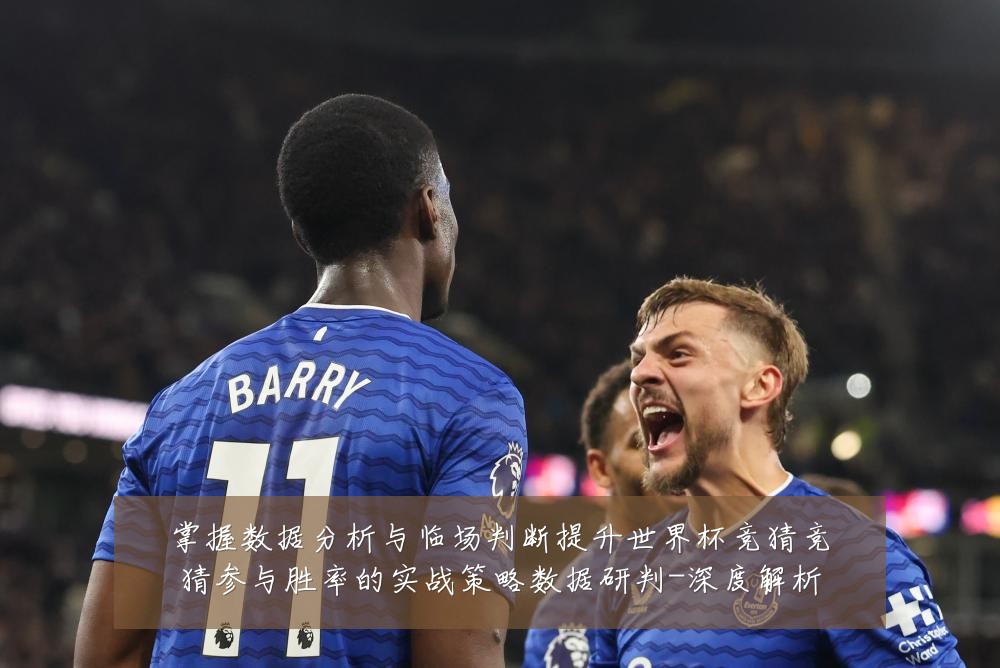 掌握数据分析与临场判断提升世界杯竞猜竞猜参与胜率的实战策略数据研判-深度解析