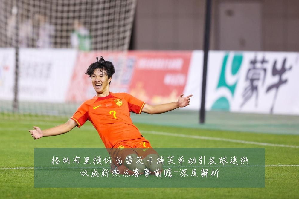格纳布里模仿戈雷茨卡搞笑举动引发球迷热议成新热点赛事前瞻-深度解析
